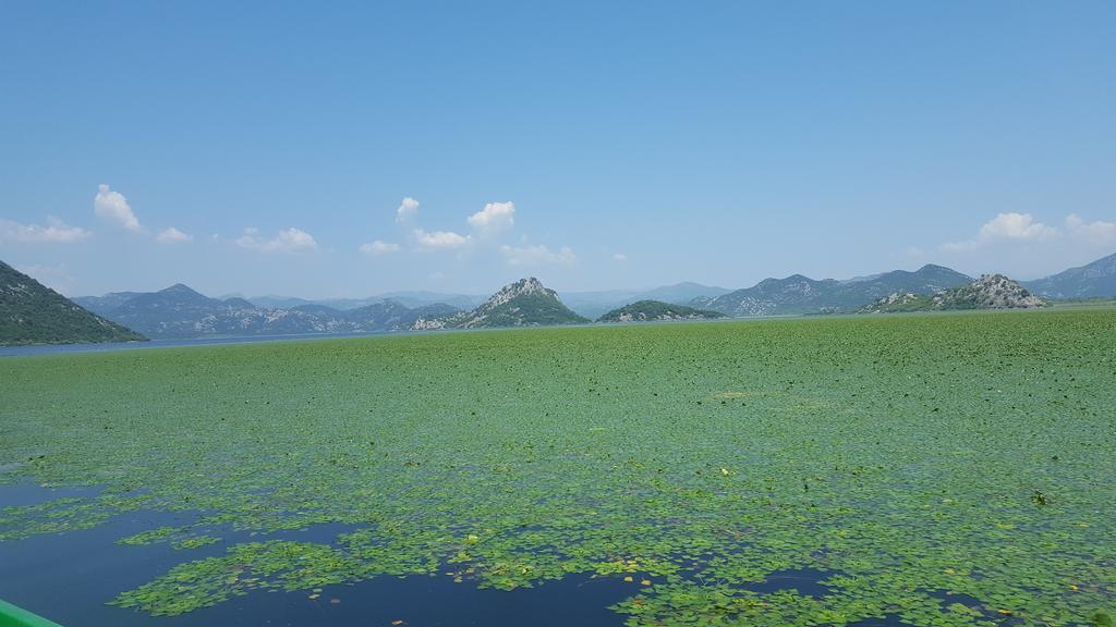 Skadar Lake House Virpazar Exterior foto